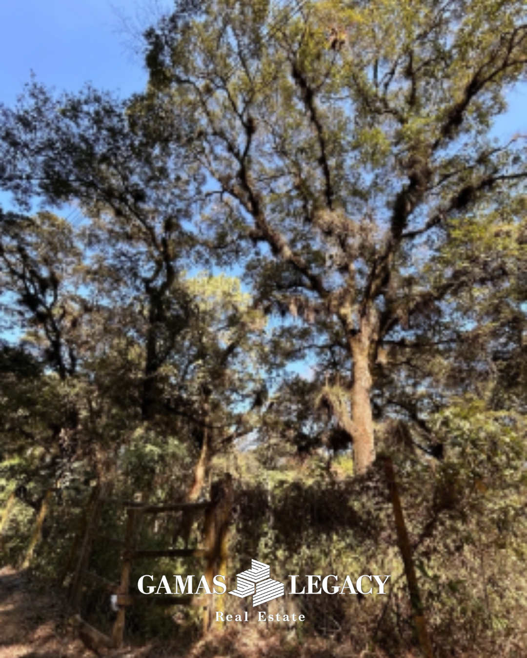 Foto 3 Terreno El Encinal